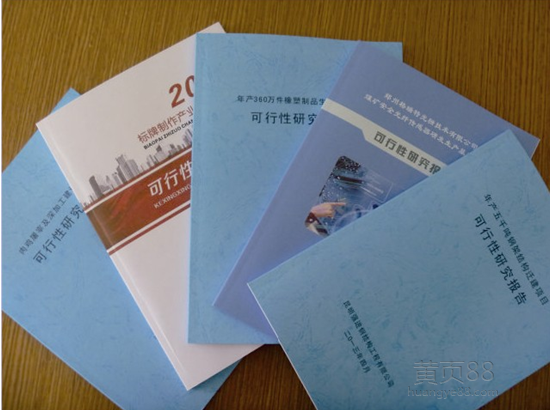 好色先生污污版代寫可研報告.png